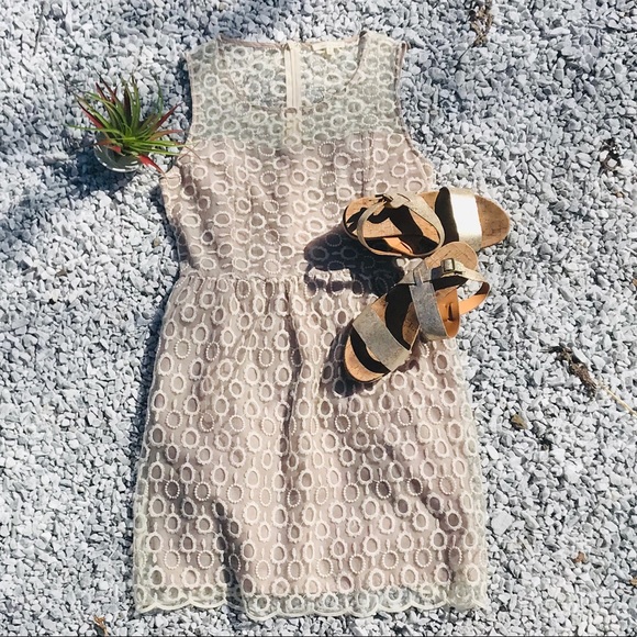 tea n rose Dresses & Skirts - Embroidered tea dress